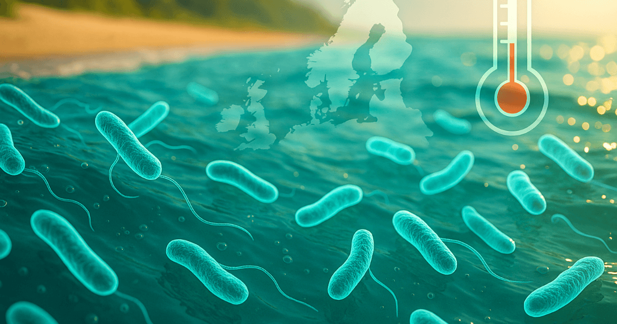20℃ से अधिक तापमान पर सावधान रहें! नॉर्डिक समुद्र तटों को हिला देने वाला "ग्लोबल वार्मिंग × बैक्टीरिया" का समीकरण: विब्रियो बैक्टीरिया से खुद को बचाने के तरीके