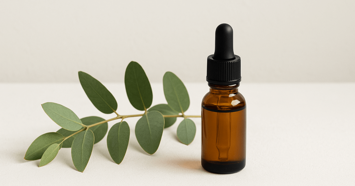 "Eucalyptus" for Dry Skin and Joint Pain? Latest Insights on Skin Barrier, Nasal Congestion, and Joint Pain