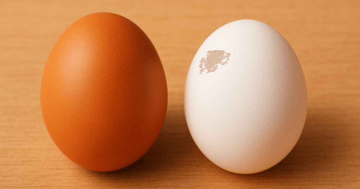 卵の赤と白、“おいしさ”は色で違う？――スーパーで売れ行きが分かれる理由と、料理人まで巻き込んだ大激論の“正解”