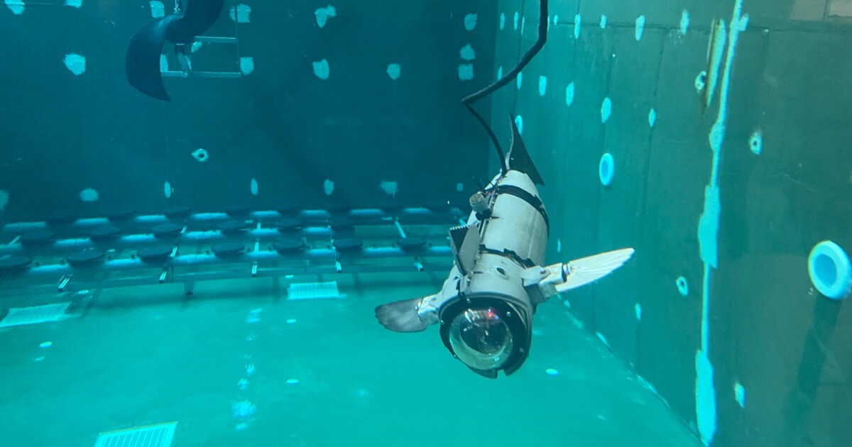 “怖がらせない監視”は実現するか、魚型ロボットが拓く精密養殖